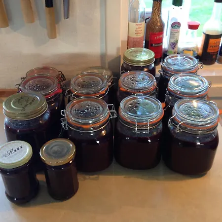 Bjornegarden 住宿加早餐酒店