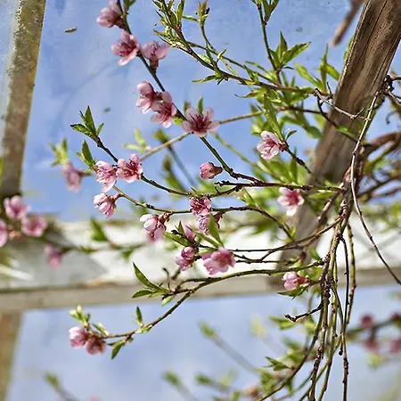 住宿加早餐酒店 Bjornegarden Dalby